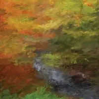 43 - Autumn Paint
