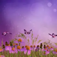 304 - Purple Butterflies