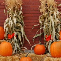 176 - Fall Harvest