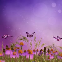 304 - Purple Butterflies